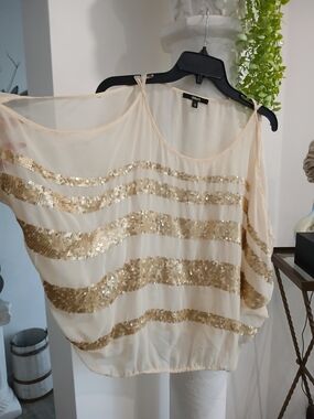 Black Cream Sheer Blouse with Gold Sequin Stripes
